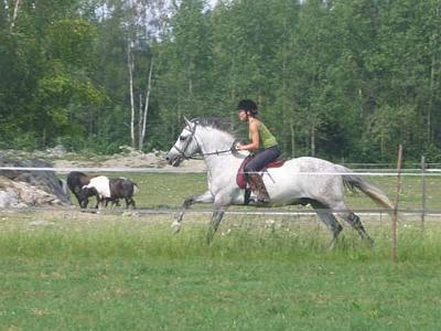 sherry5[1].jpg - Satu ja Sherry